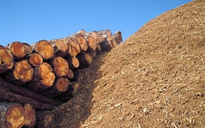 Spain can already meet all its energy demand with biomass