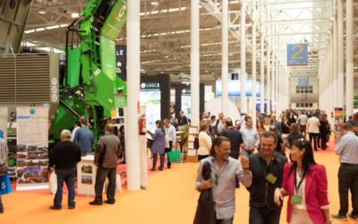 Expobiomasa 2017 reunirá a más de 600 empresas de 30 países en una superficie de 34.000 metros, el 30& más que en la edición anterior